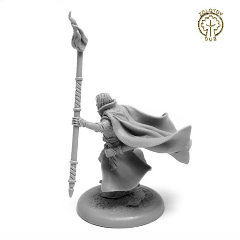 dnd sorcerer miniature