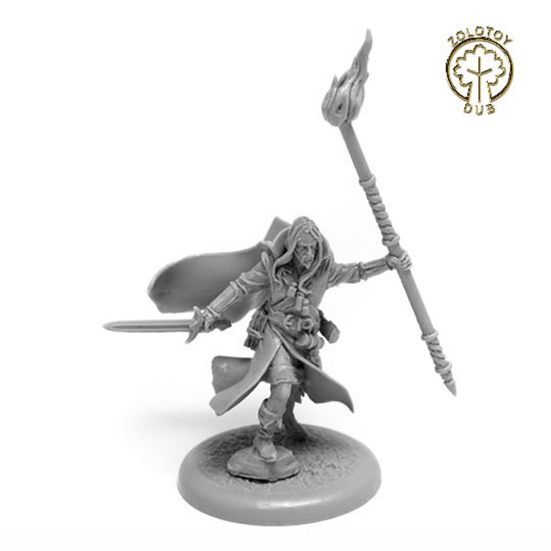 dnd sorcerer miniature