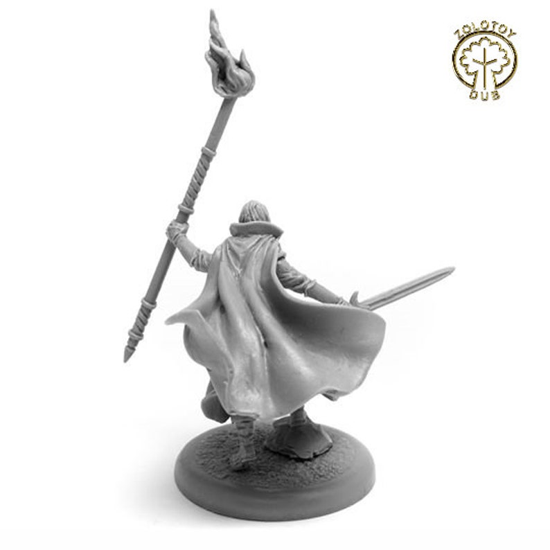 dnd sorcerer miniature