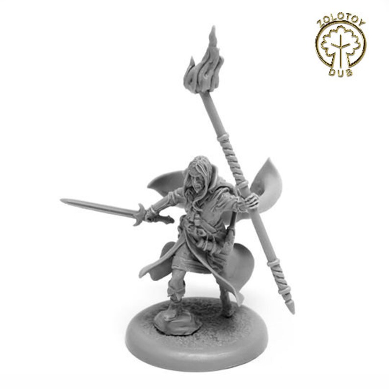 dnd sorcerer miniature