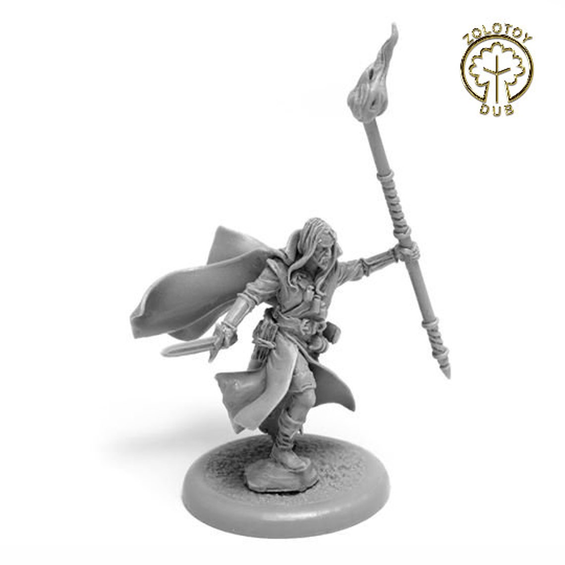 dnd sorcerer miniature
