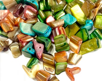 May include: Assortment of colorful, iridescent, and textured shell beads in various shapes and sizes. The beads are a mix of green, blue, brown, orange, and pink.