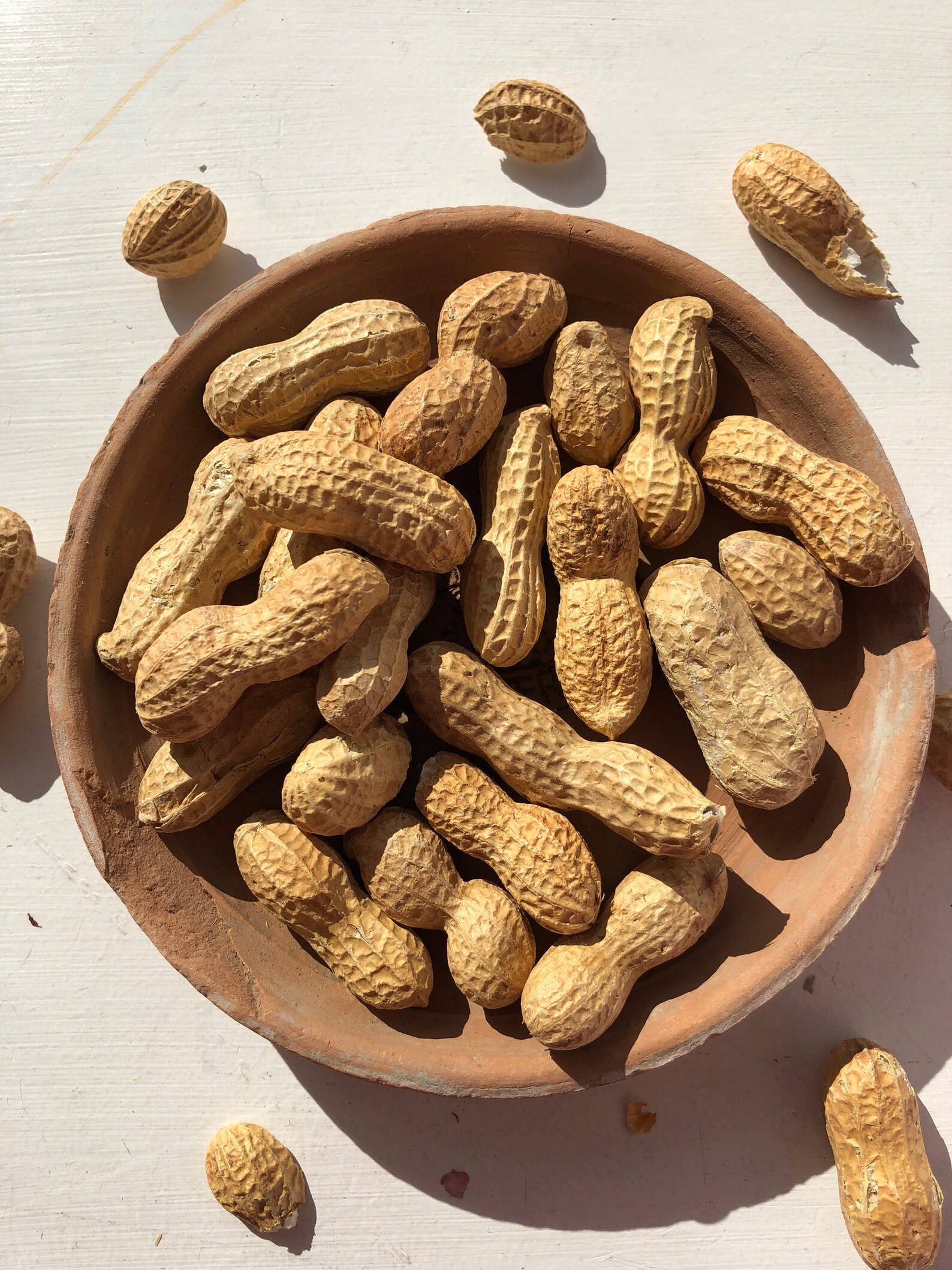 Monkey Nuts 100 Natural Treats for Hamsters Etsy