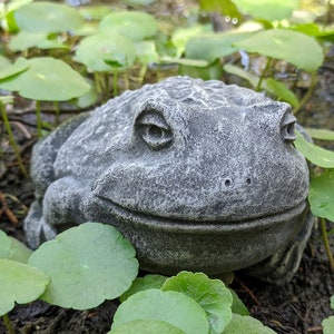 Chilled and Relaxed Toad Concrete Statue - Free Shipping - Home or Garden Decor - Cement Statue, Lawn Garden Decor, Concrete Animal