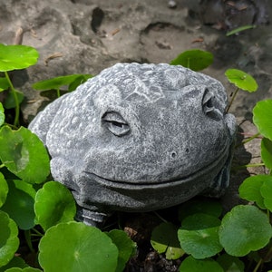 Chilled and Relaxed Toad Concrete Statue - Free Shipping - Home or Garden Decor - Cement Statue, Lawn Garden Decor, Concrete Animal