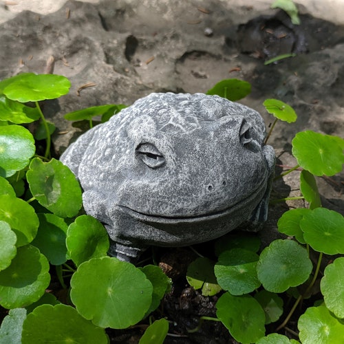 Statue en béton de crapaud réfrigérée et détendue - livraison gratuite - décoration de maison ou de jardin - statue en ciment, décoration de jardin avec pelouse, animal en béton