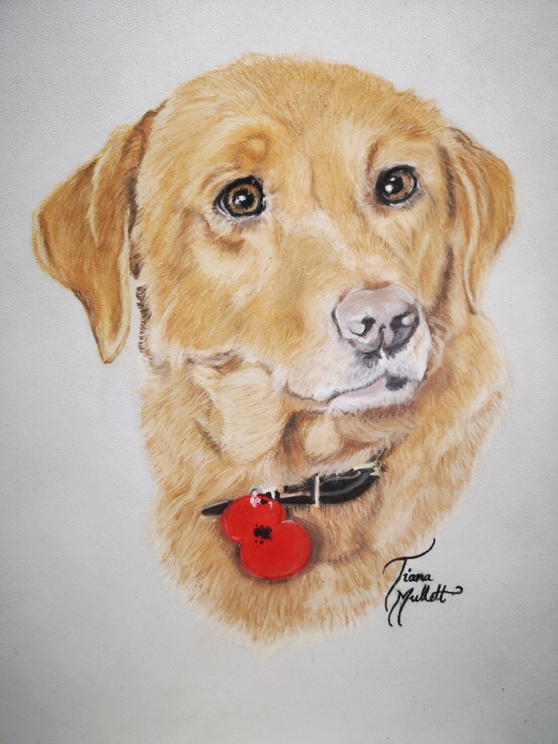 Pastel Pet Portrait Original Fine Art Painting of Your Pet Etsy