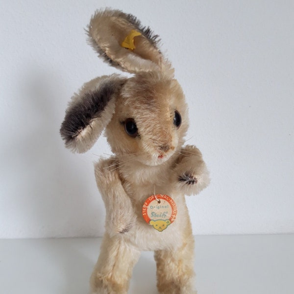 Steiff Easter Rabbit with ALL IDs