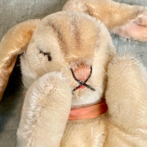 Steiff Floppy Hansi - Etsy