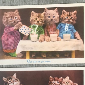 2 cartoline super carine con gatti vestiti degli anni '50