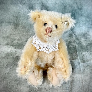 Steiff  cute little Bear