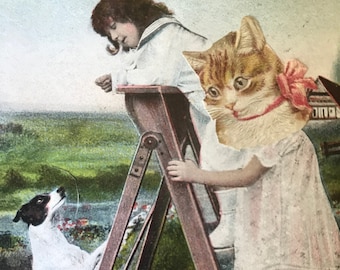 Two adorable antique postcards with  cats