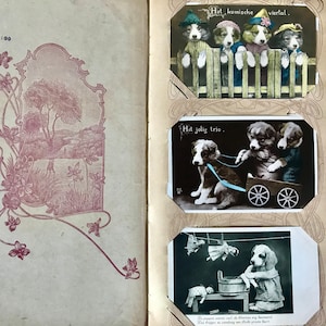Antiek ansichtkaartalbum met 49 hondenpostkaarten – art-decofotoalbum jaren 1900-1960 – Vintage Dog Lover Collection
