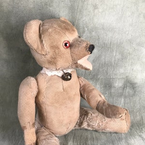 Antique German Teddy Bear: 1920s Wood Wool Stuffed Growler