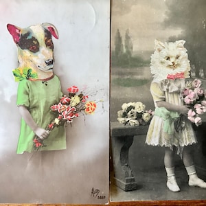 Due adorabili cartoline antiche con cane e gatto