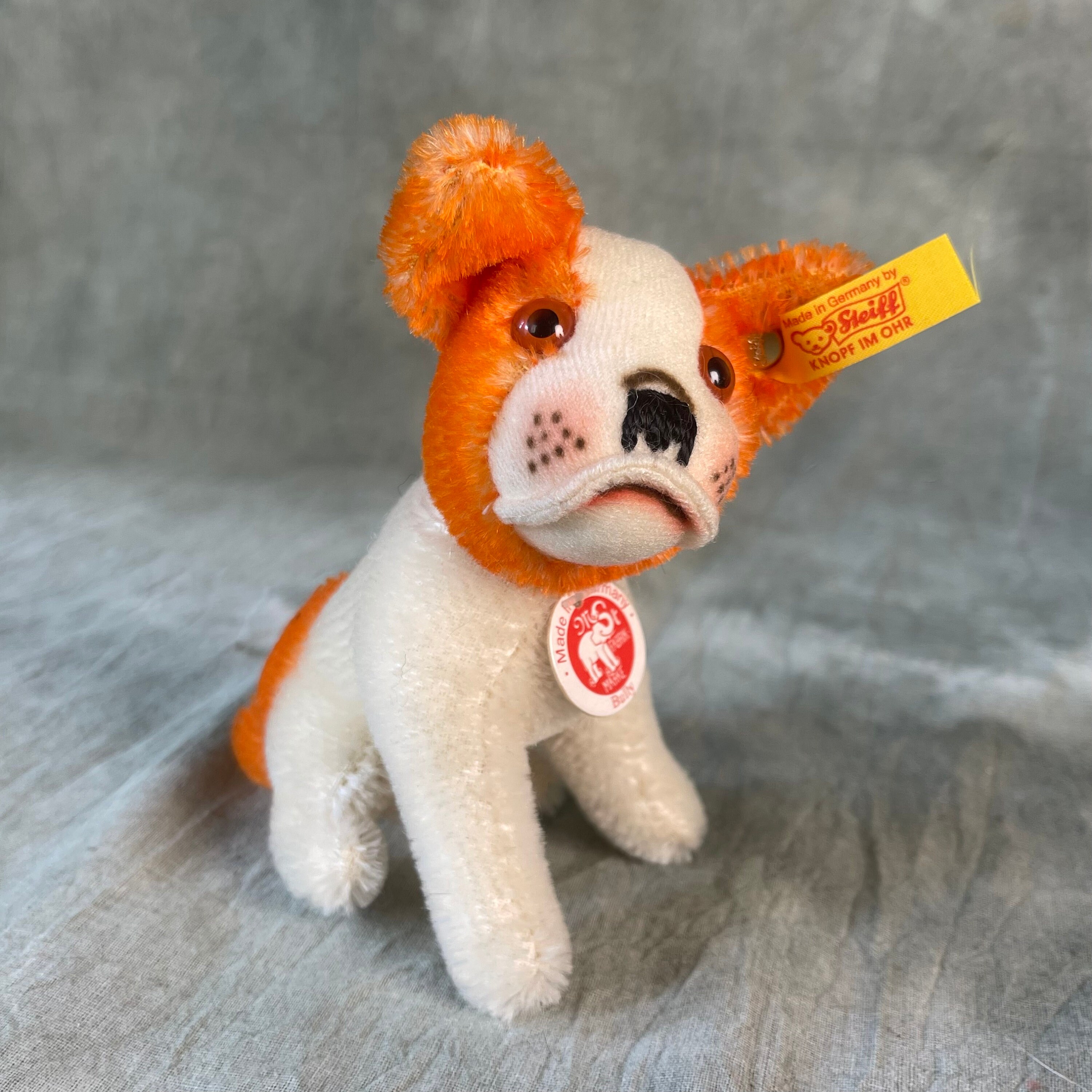 Steiff bulldog - Etsy 日本