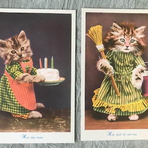 2 cartoline super carine con gatti vestiti degli anni '50