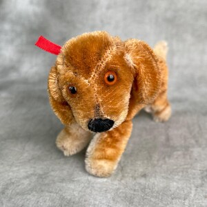 シュタイフ ダックスフント パピー バジ ID 付き 4 インチ