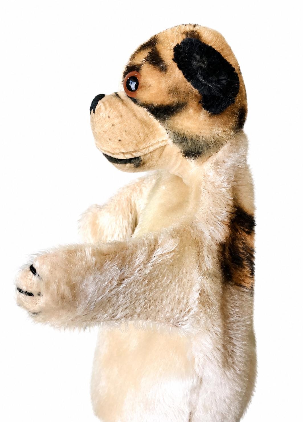 Steiff Hand-puppet Bull Dog Bully (RARE) - Etsy
