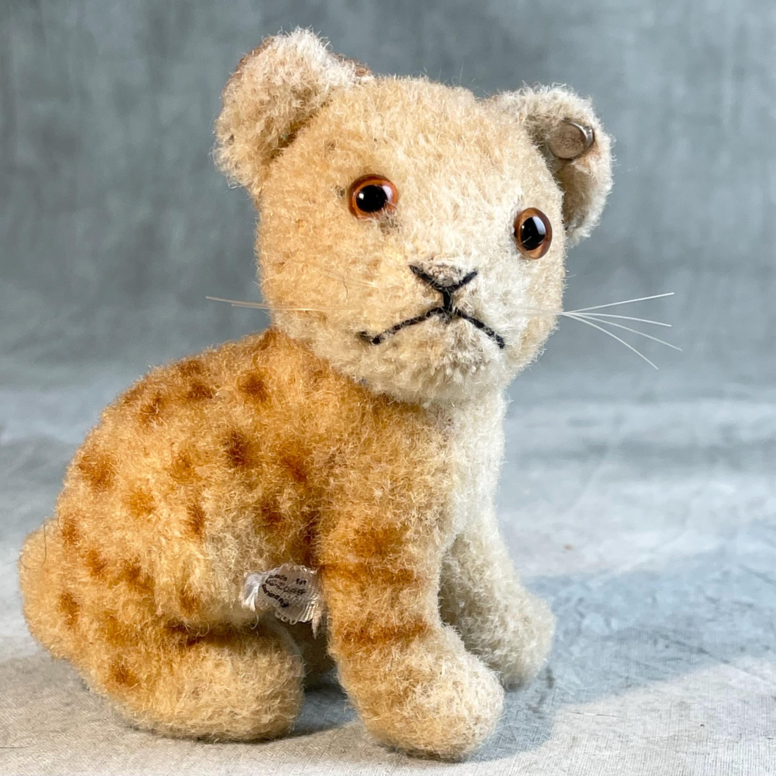 Steiff Us Zone - Etsy