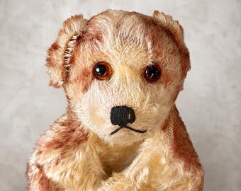 Steiff Molly Dog - Etsy