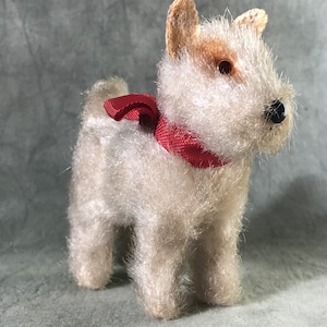Cute  small Foxy fox terrier 50s