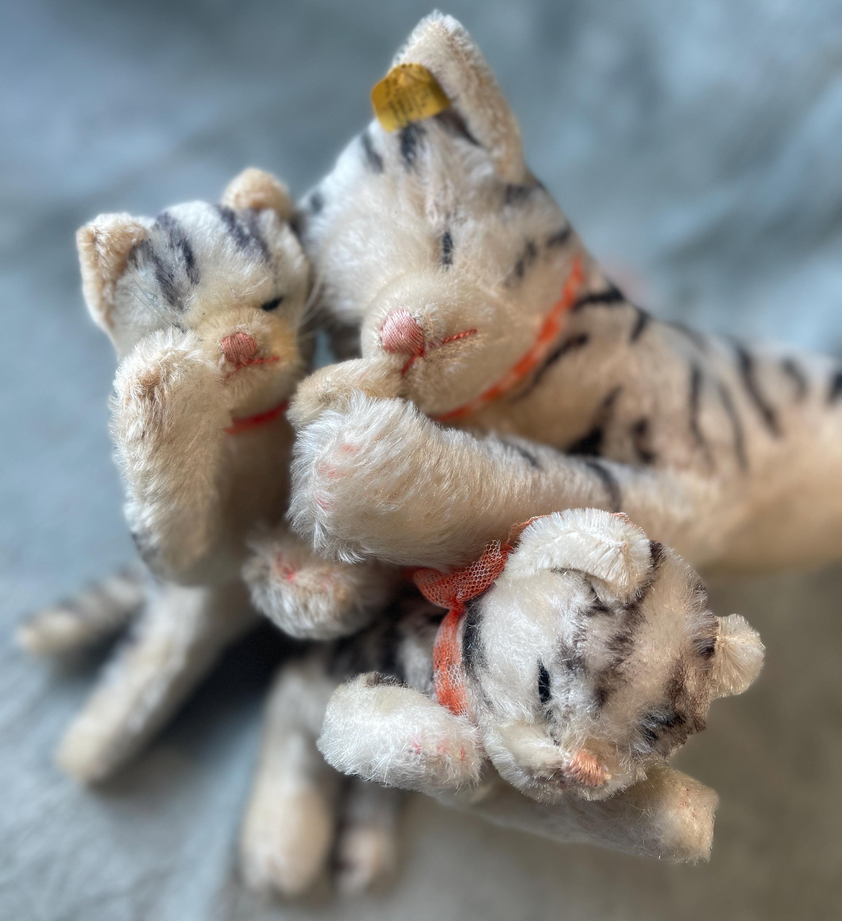 Steiff Tabby Cat - Etsy