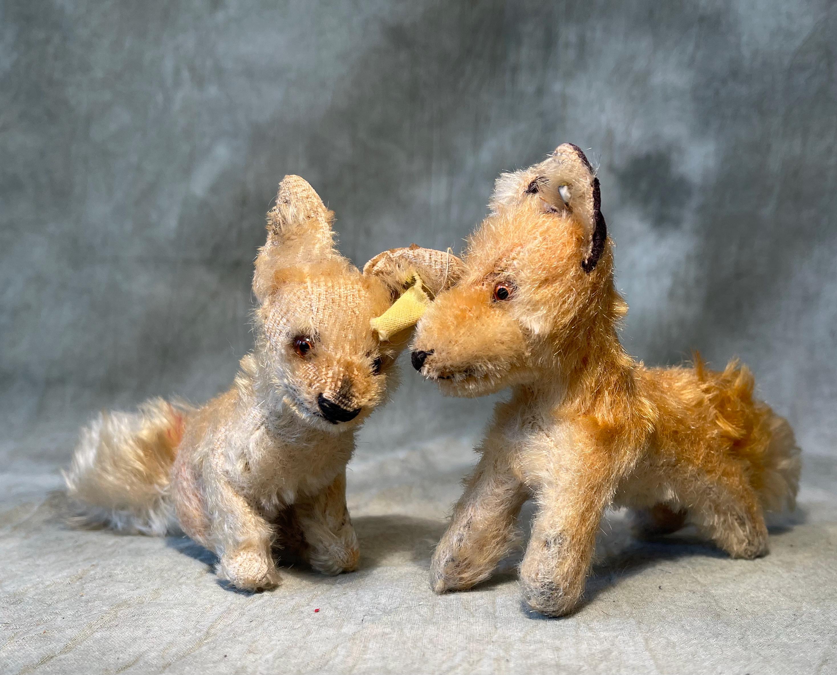 Steiff Desert Fox Xorry With Button - Etsy Canada Steiff Desert Fox Xorry With Button - Etsy Canada
