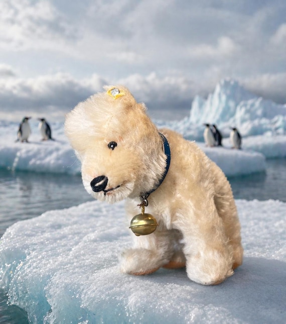 Vintage Steiff Polar Bear With Silver Button, Original Collar - Etsy