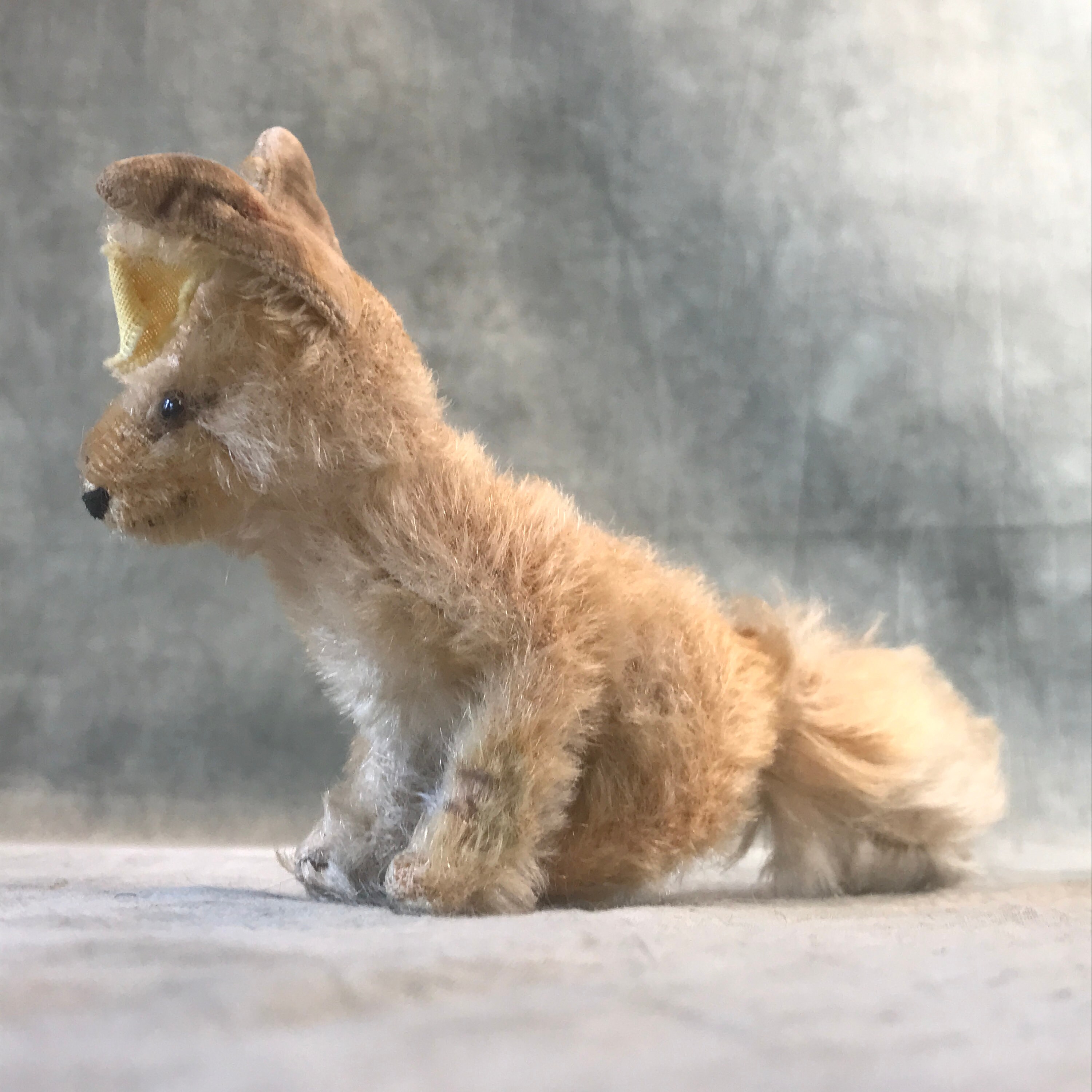 ビンテージ　シュタイフ　xorry 砂漠きつね　　desert fox キツネ Steiff Desert Fox Xorry With Button - Etsy Hong Kong