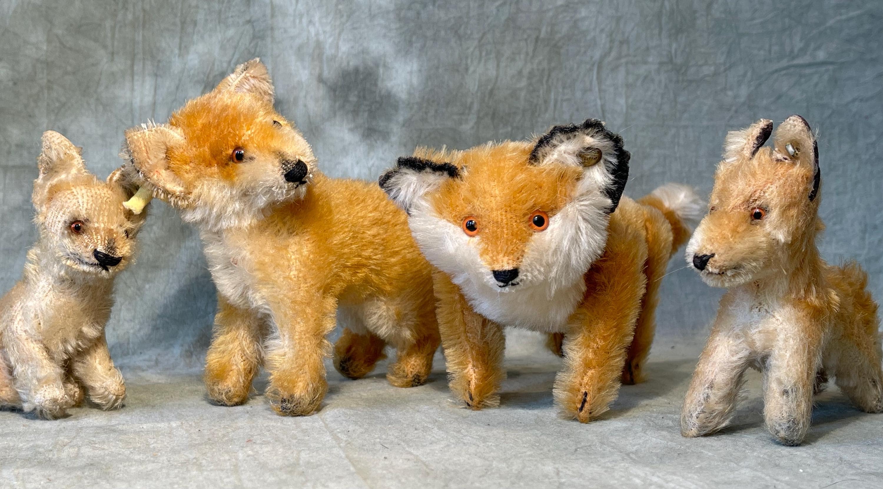 Steiff Desert Fox Xorry With Button - Etsy Canada