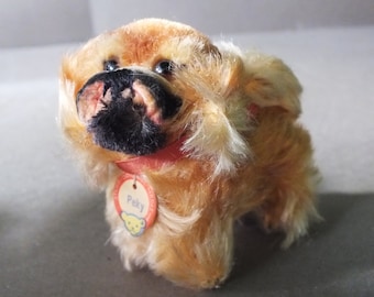 Steiff Peky  with button and nametag