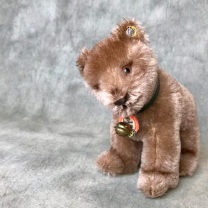 Rare Steiff Bear Cub 12 cm 1950–1964 – Mohair Teddy with Collar & Bell – Vintage Steiff Teddy Bear Collectible with IDs