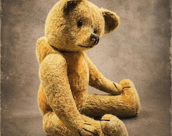 Vintage Steiff Hermann Petz Teddy Bear Toy Mohair Jointed Plush - Etsy