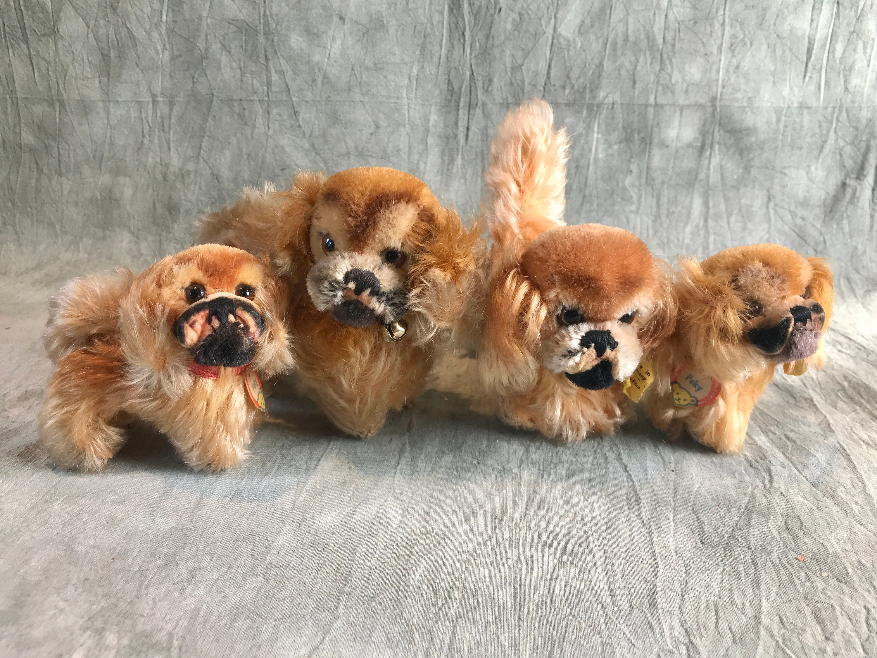 Chien pékinois Steiff toutes pièces d'identité, millésime