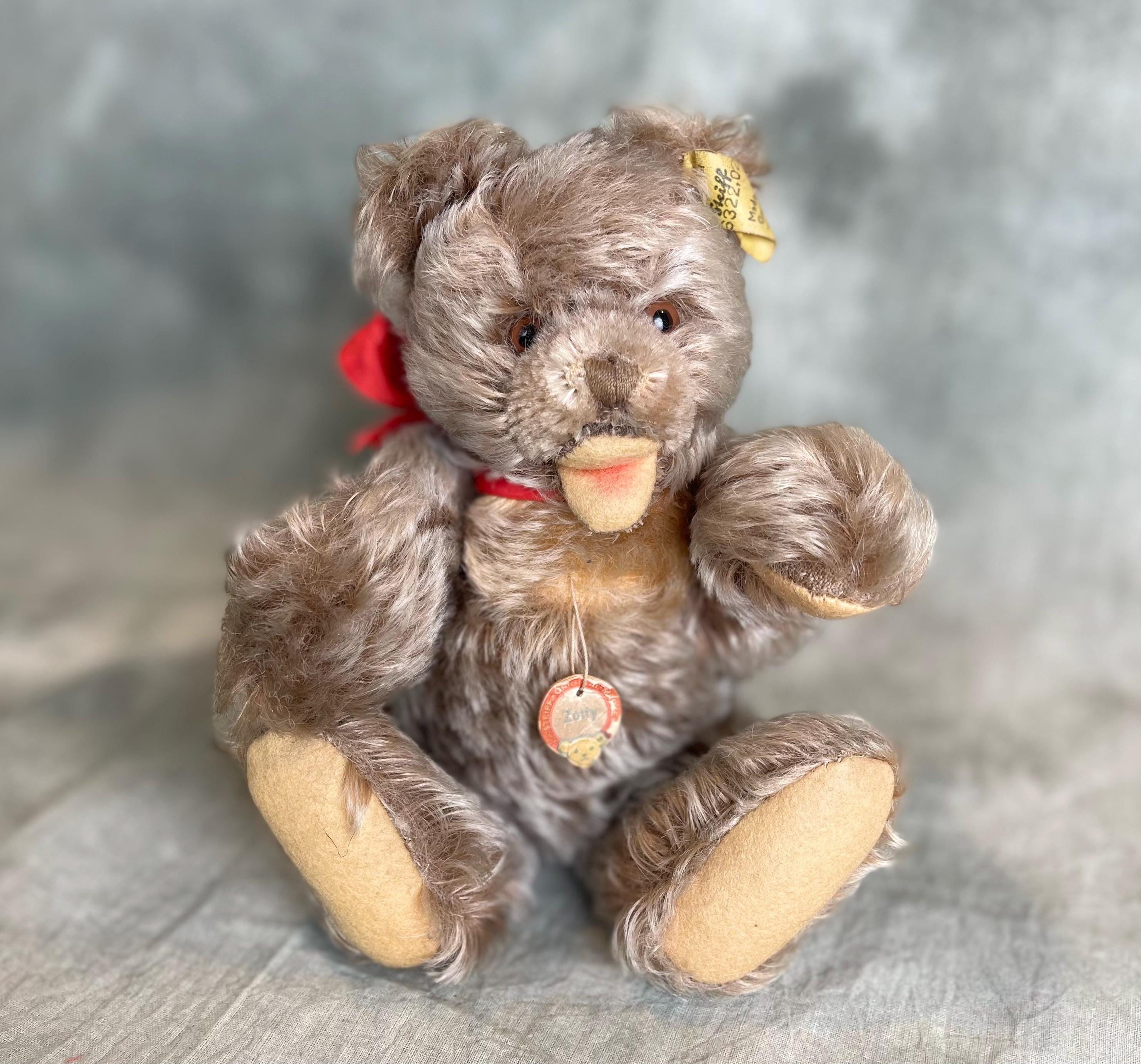 ヴィンテージ Steiff 　zotty 17cm Vintage Steiff Zotty Bear: 1960s Collectible With All Ids - Etsy