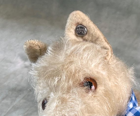 Rare, Steiff Dog Sealyham Terrier With Button and US Zone