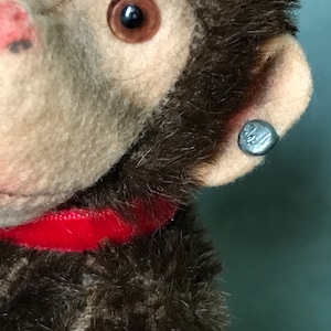 May include: Close-up of a brown and beige stuffed monkey with a red collar. The monkey has a button on its ear with the word "Hall" printed on it.
