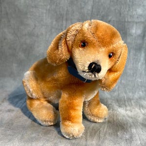 Beautiful Steiff Bazi dachshund pup
