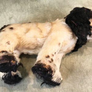 K&ouml;nnte beinhalten: Ein Pl&uuml;schhund mit cremefarbenem Fell, das braune Flecken am K&ouml;rper und an den Beinen aufweist. Das Spielzeug hat lange, dunkelbraune Ohren und dunkelbraunes Fell an den unteren Teilen seiner vier Beine. Es befindet sich in einer stehenden Position.
