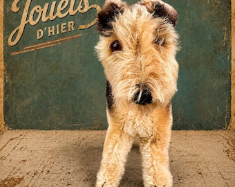 シュタイフ テリー エアデール テリア 犬 8 cm 3 インチ 1950 年代