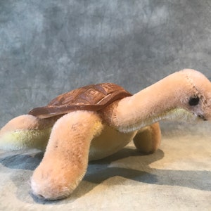 Steiff Turtle SLO con identificación