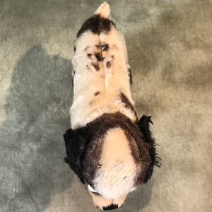 K&ouml;nnte beinhalten: Ein Pl&uuml;schhund von oben betrachtet, mit wei&szlig;em Fell und dunkelbraunen Flecken auf dem R&uuml;cken und dem Kopf. Das Stofftier hat lange, dunkelbraune Schlappohren, einen kleinen Schwanz und einen wei&szlig;en Streifen, der &uuml;ber die Mitte des Kopfes verl&auml;uft.
