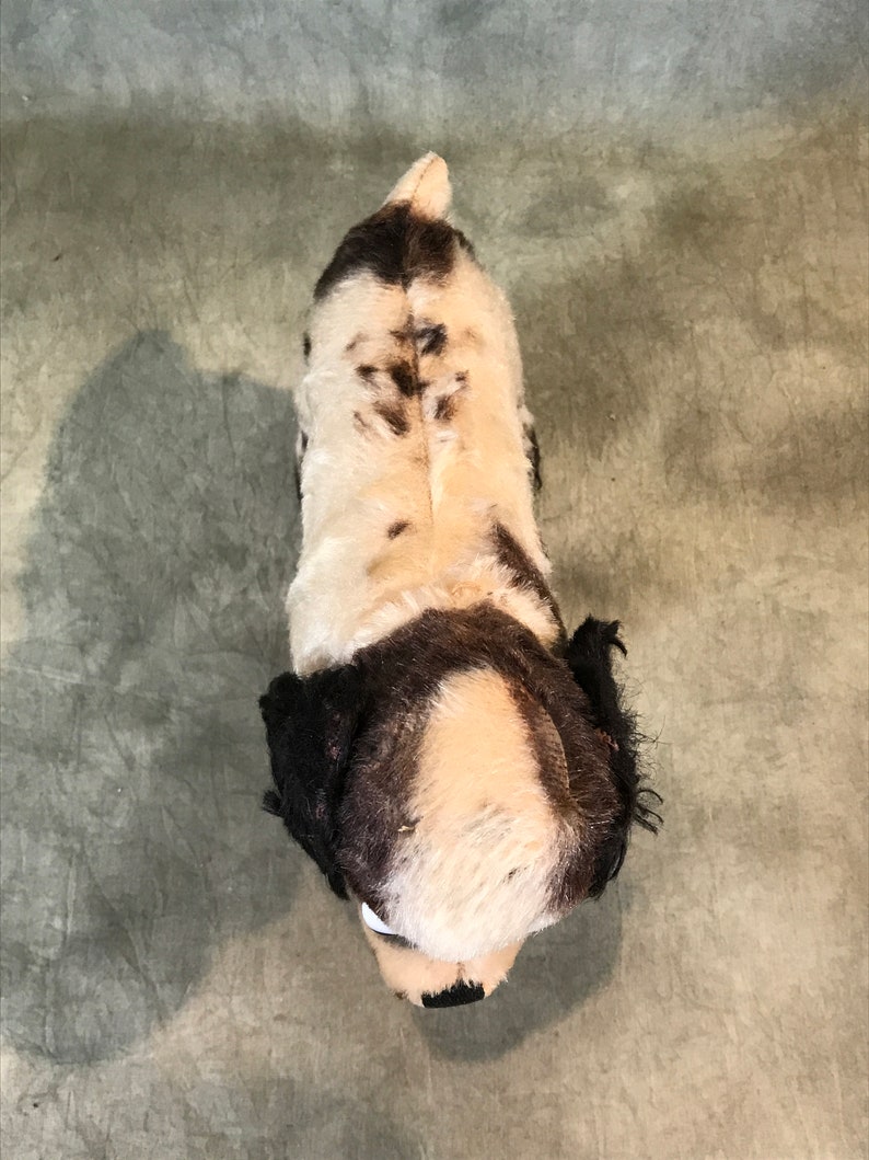 K&ouml;nnte beinhalten: Ein Pl&uuml;schhund von oben betrachtet, mit wei&szlig;em Fell und dunkelbraunen Flecken auf dem R&uuml;cken und dem Kopf. Das Stofftier hat lange, dunkelbraune Schlappohren, einen kleinen Schwanz und einen wei&szlig;en Streifen, der &uuml;ber die Mitte des Kopfes verl&auml;uft.