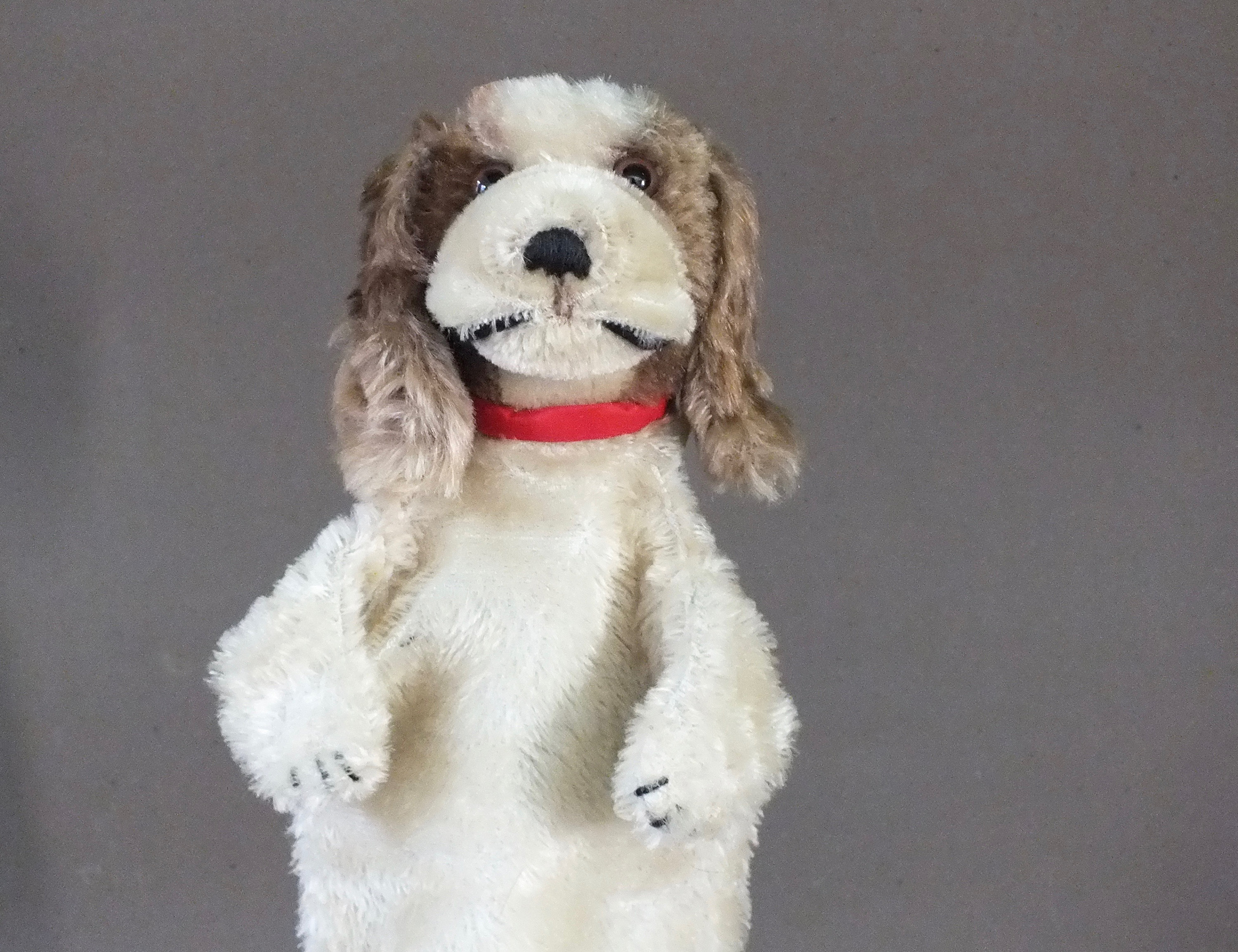 Marionnette Steiff – Cocker Spaniel Cockie (5560/28) Avec K/F – Ancienne, Allemagne