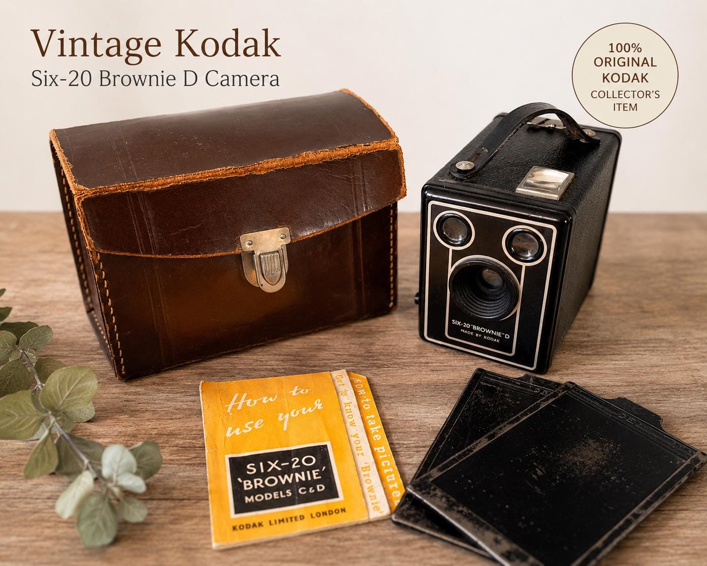 Kodak Six-20 Brownie D Box Camera - Etsy