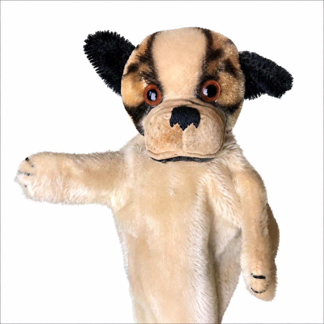 Steiff Hand-puppet Bull Dog Bully (RARE) - Etsy