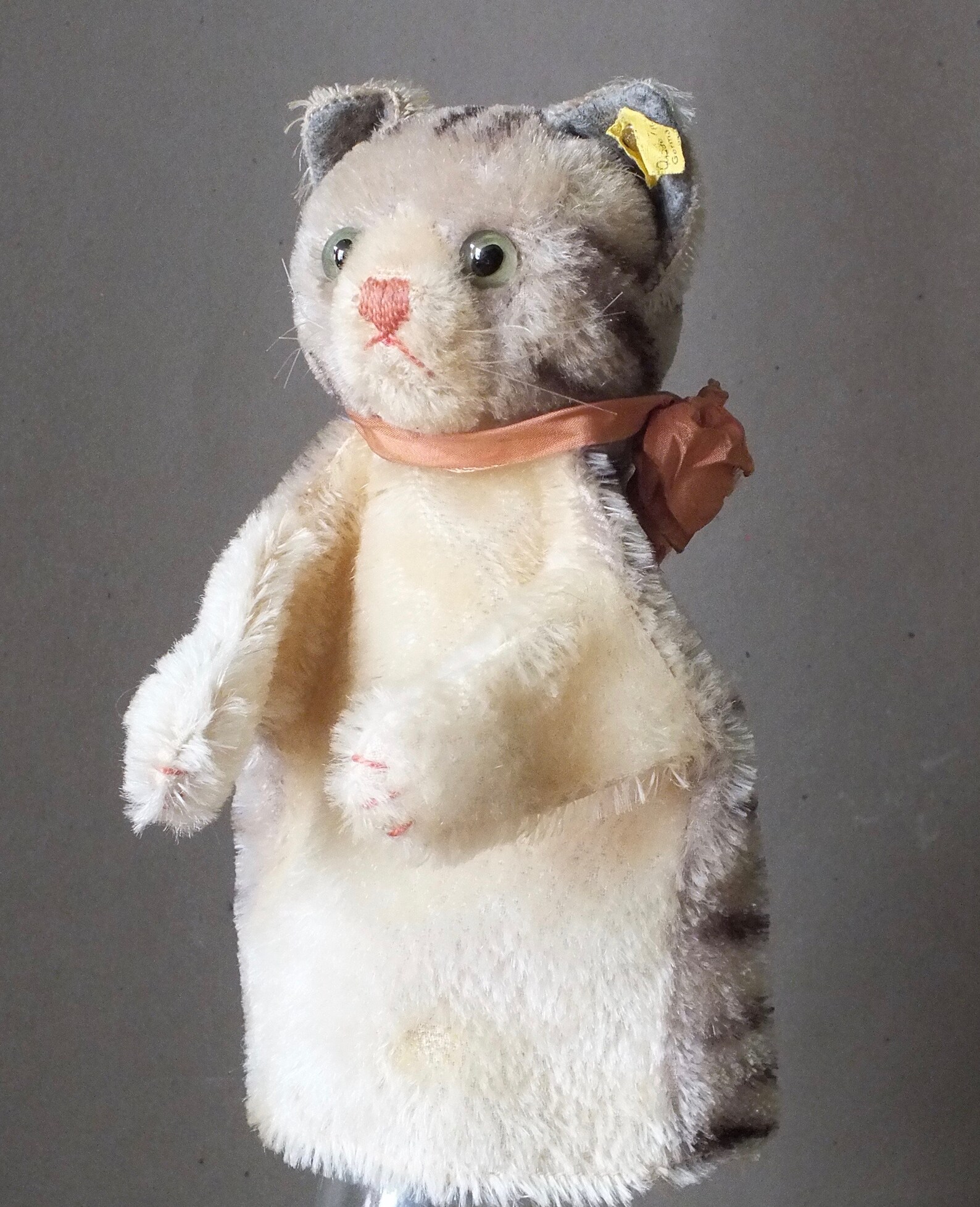 tabby cat puppet