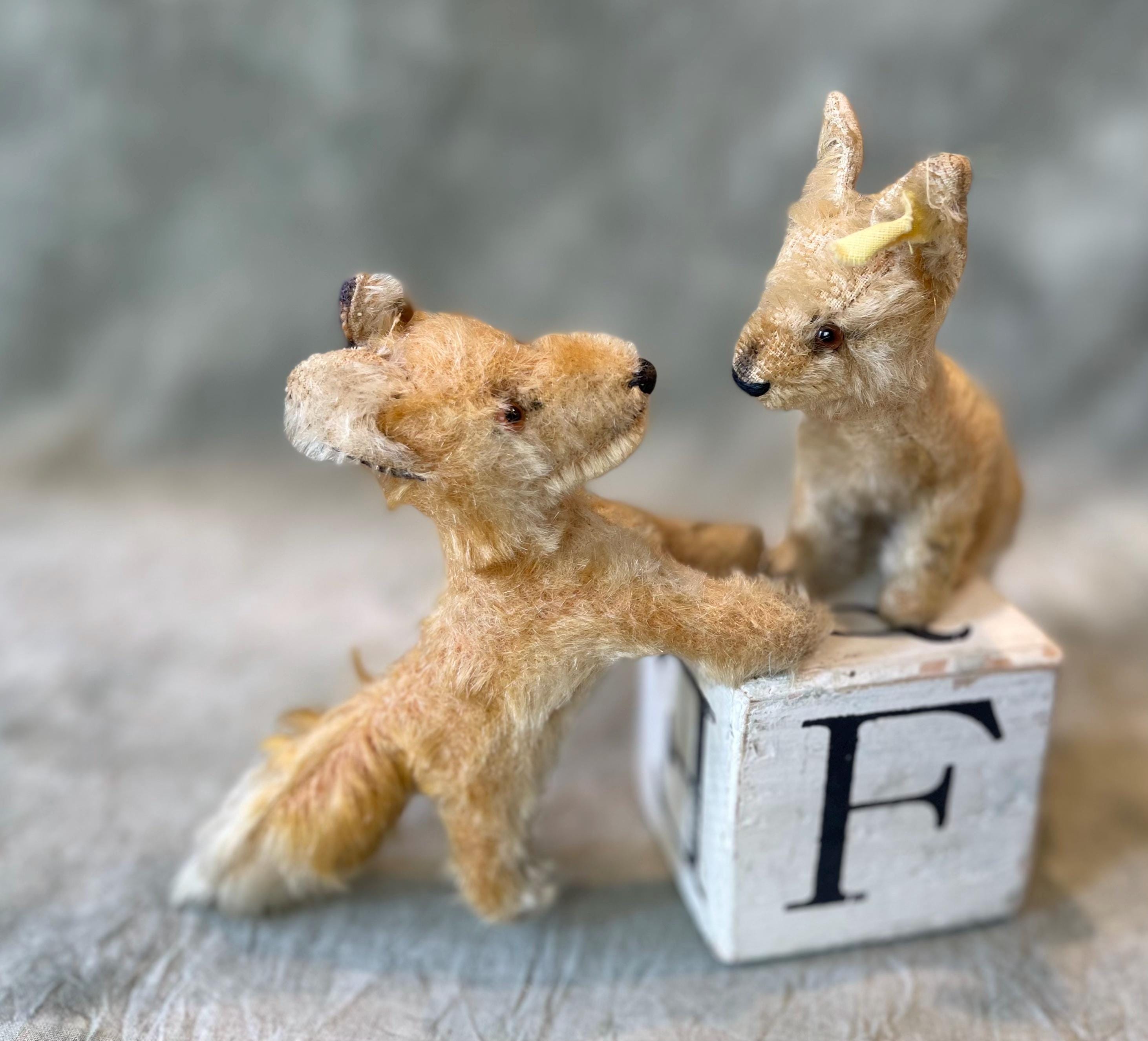 Steiff Desert Fox Xorry With Button - Etsy Canada