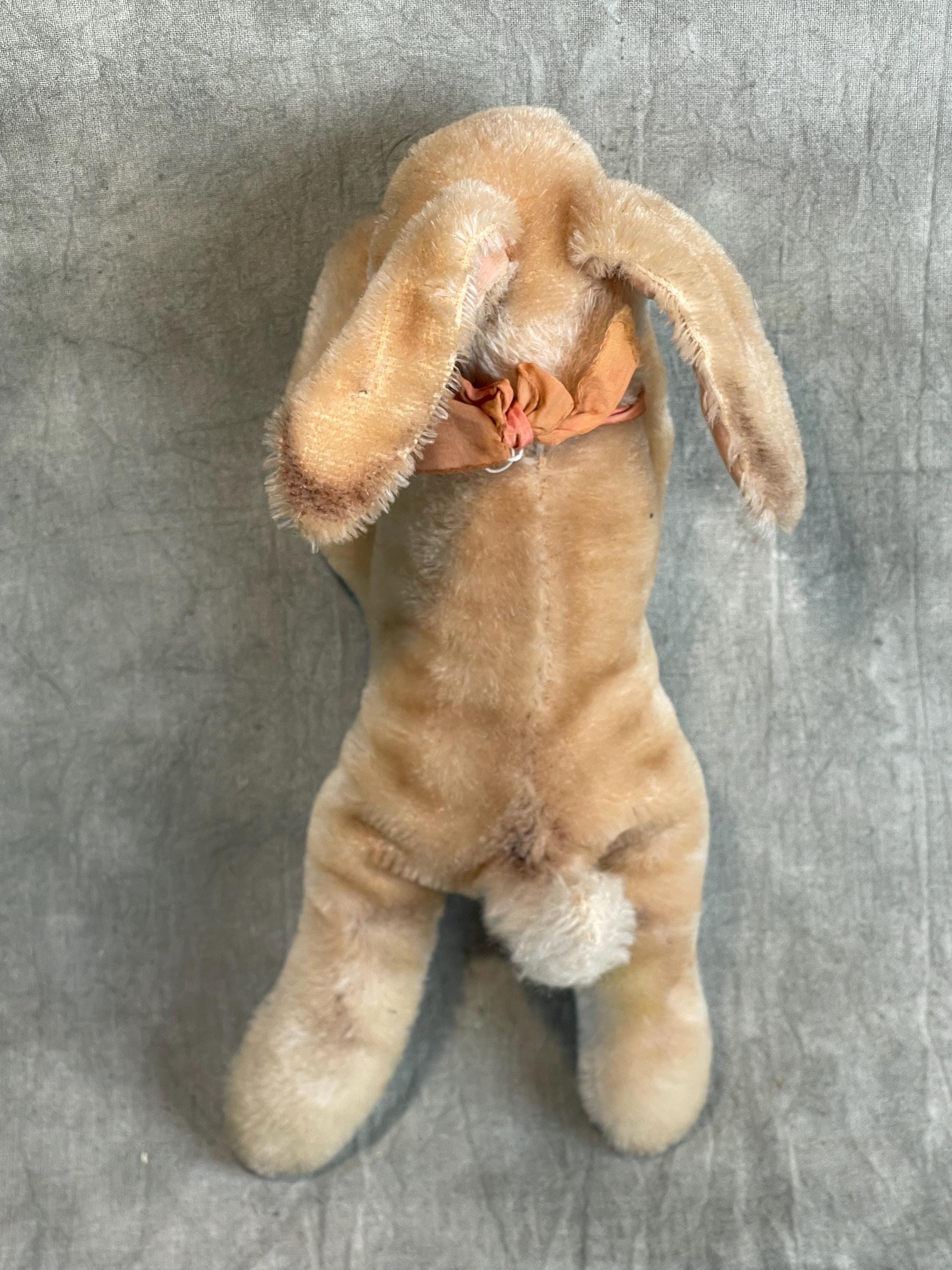 Steiff Floppy Hansi 木毛うさぎ 21cm ヴィンテージ Floppy Hansi Rabbit With Button - Etsy